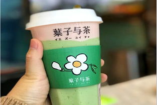 加盟葉子與茶需多少費用？冰淇淋加盟機遇解析